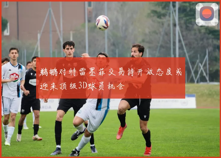 鹈鹕对特雷墨菲交易持开放态度或迎来顶级3D球员机会