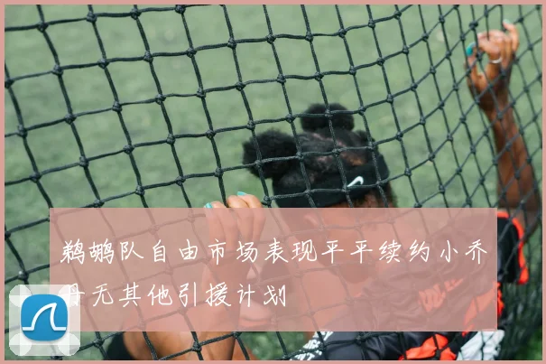 鹈鹕队自由市场表现平平续约小乔丹无其他引援计划